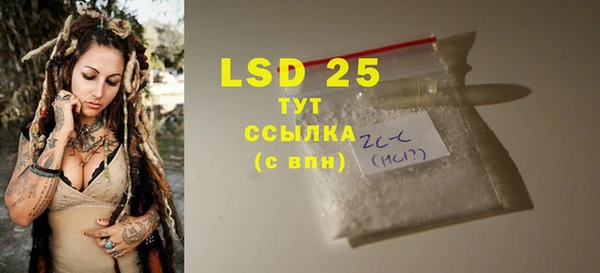 стафф Аркадак