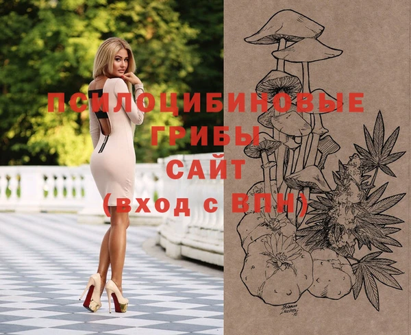 стафф Аркадак