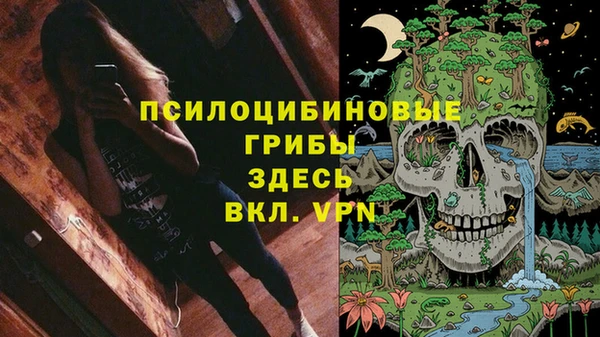 стафф Аркадак