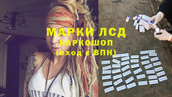 стафф Аркадак