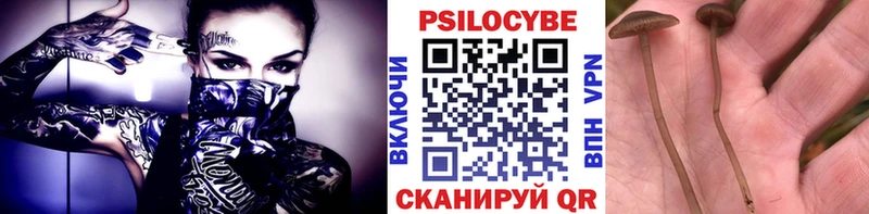 Галлюциногенные грибы MAGIC MUSHROOMS  купить наркотик  hydra как войти  Байкальск 